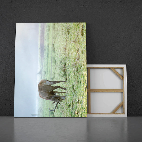 Photo Canvas of a dear. Depicting both the front and the back of the canvas