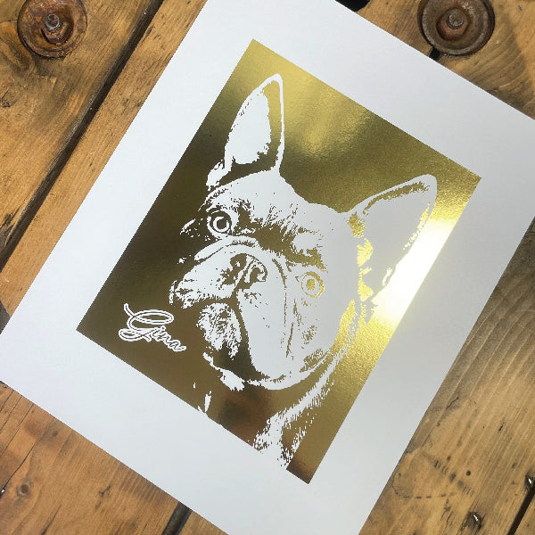 Foiling Photographs of a dog Gina