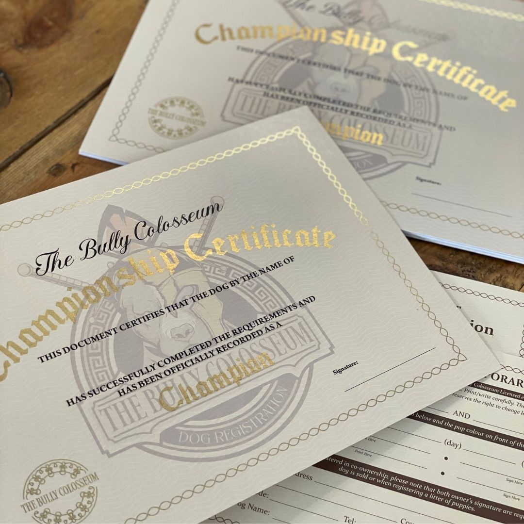 Gold foil Certificate for a Dog Registration by The Bully Colosseum, displayed on a wooden table.