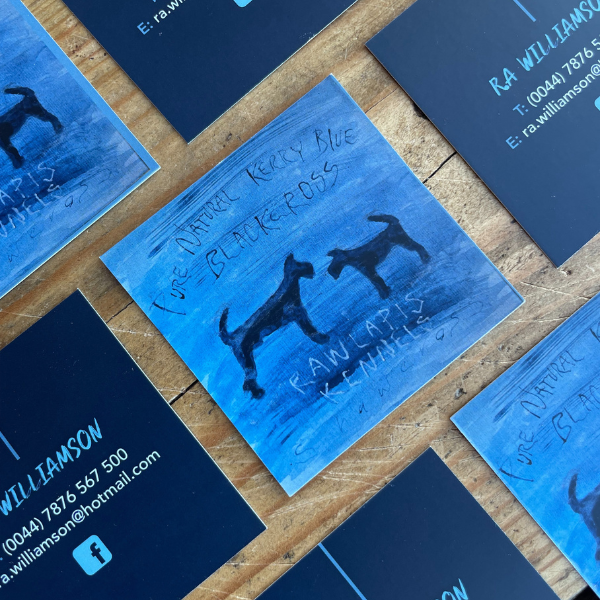 Same Day Square Business Cards