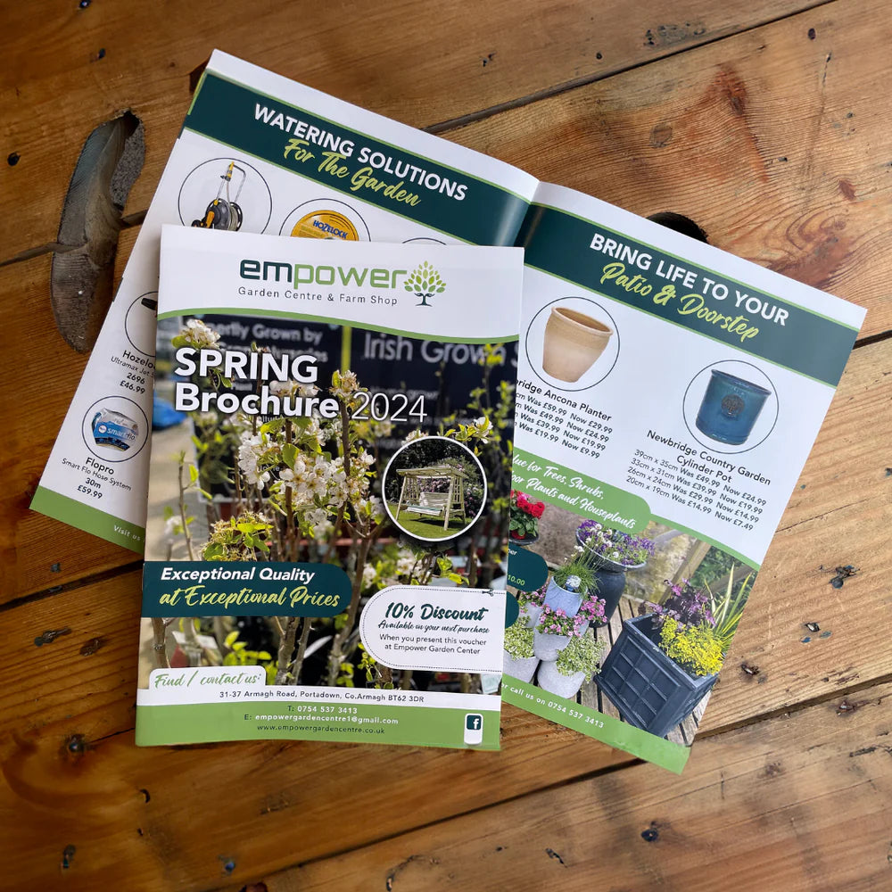 Spring Catalogue Brochure for a Garden Centre in Portadown