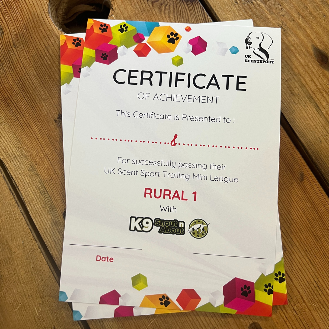 Certificates // Add Foiling